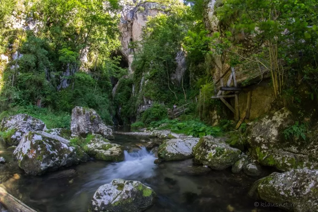 Peștera Huda lui Papură, cea mai spectaculoasă peșteră din România. Mii de străini vin să vadă minunile de acolo