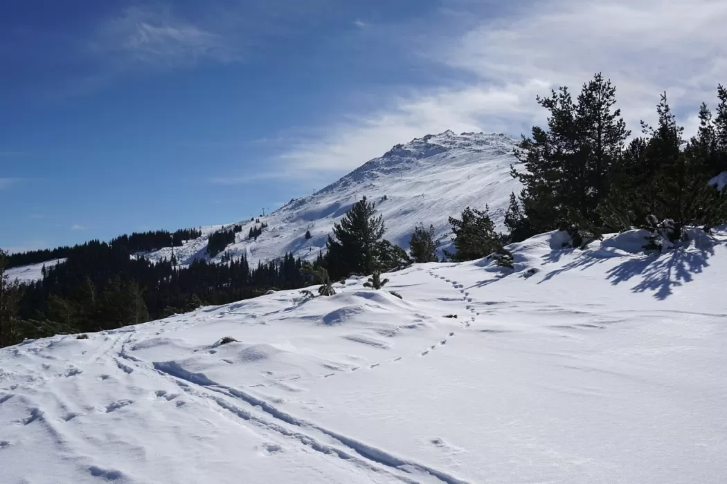 Italia a depășit Bulgaria ca fiind cea mai ieftină destinație de schi din Europa